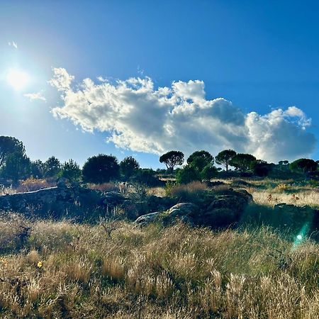 Casa Rural, “El Andador” El Hoyo de Pinares Zewnętrze zdjęcie